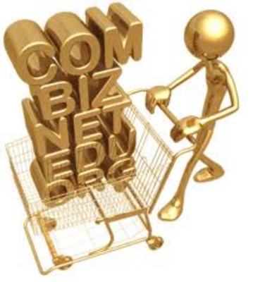 Product picture Domain Name Video Primer