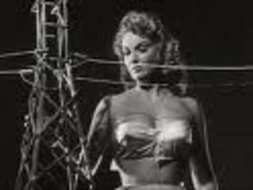 Product picture 1200 PLR!!  Plus Bonus Software 